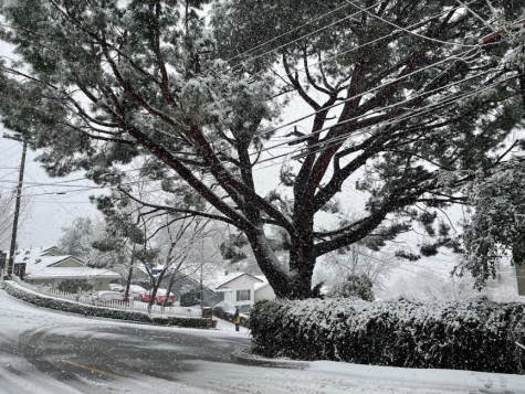 Snow in La Crescenta