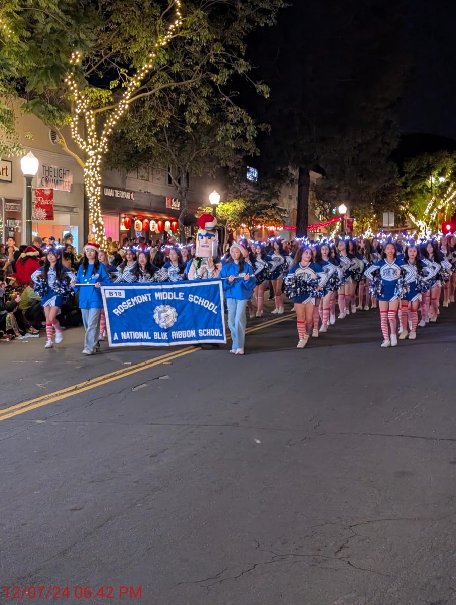 Montrose Holiday Parade